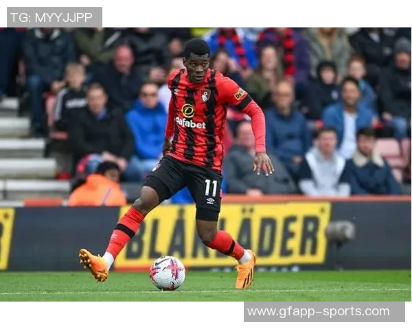 黑骑士足球俱乐部全资收购伯恩茅斯成为洛里昂唯一股东