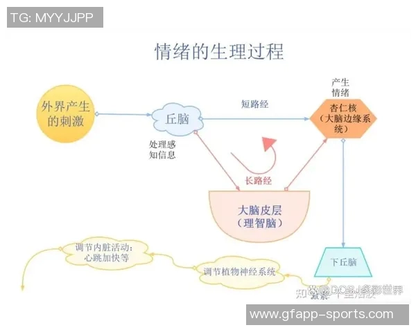 乔哈特揭露波罗被换下场后的失控情绪与疯狂行为分析